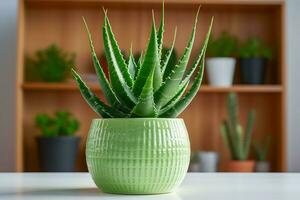 calmante aloe Vera pentola. creare ai foto