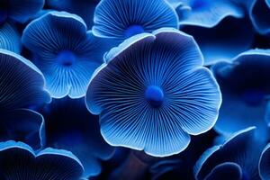 blu macro fungo. creare ai foto