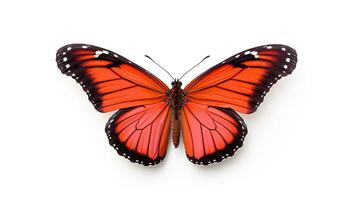 bellissimo rosso monarca farfalla isolato su bianca sfondo. la farfalla. generativo ai foto