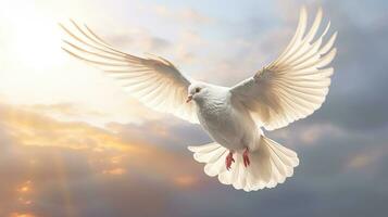 un' bianca colomba su luminosa leggero brilla a partire dal Paradiso sfondo. simbolo di amore e pace discende a partire dal cielo. generativo ai foto