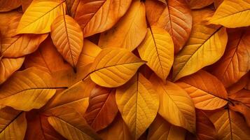 autunno le foglie sfondo. generativo ai foto
