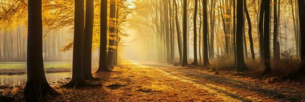 autunno foresta strada nel autunno le foglie sfondo. mattina luce del sole. generativo ai foto