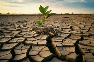 sopravvivendo il siccità, un' albero sta resiliente su Cracked terra ai generato foto