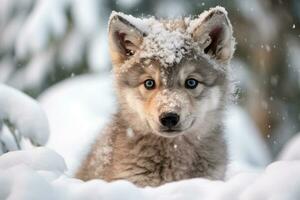 un' carino lupo bambino nel inverno neve. generativo ai. foto