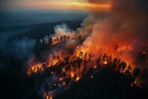 fuoco nel il foresta a tramonto. naturale disastro dovuto per il ondata di caldo. ai generato foto