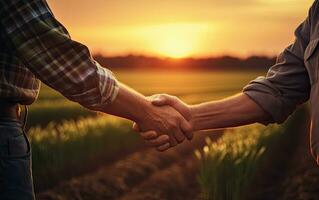 Due persone tremante mani nel un' campo durante tramonto. ai generato foto