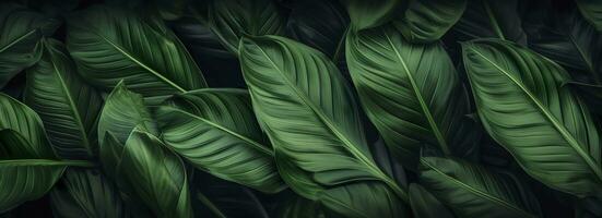 astratto verde foglia struttura con natura sfondo, tropicale foglia. generativo ai foto