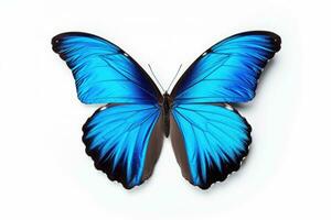 blu tropicale farfalle isolato su bianca sfondo. la farfalla. generativo ai foto