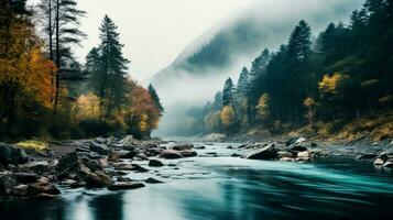 un' sereno nebbioso mattina nel il foresta con un' avvolgimento fiume e colorato autunno alberi sfondo con vuoto spazio per testo foto