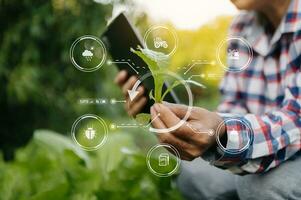 donna mani giardinaggio lattuga nel azienda agricola con crescita processi e chimico formula su verde sfondo. con vr icona foto