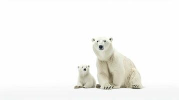 polare orso con cucciolo isolato su il bianca sfondo. generativo ai foto