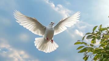 un' bianca colomba trasporto foglia ramo su blu cielo aria con nuvole e raggi di sole. la libertà concetto e internazionale giorno di pace. generativo ai foto