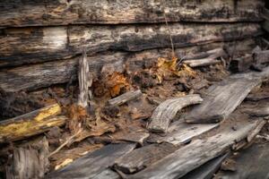 deteriorato di legno tavole sfondo generativo ai foto