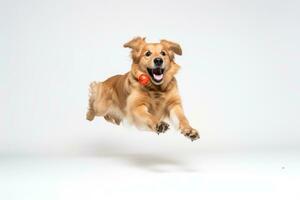 un' d'oro cane da riporto è salto nel il aria con un arancia palla nel suo bocca generativo ai foto