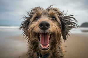 ritratto di un' cane giocando su un' spiaggia generativo ai foto
