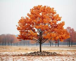 un arancia albero nel il mezzo di un' neve coperto campo generativo ai foto