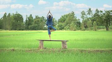 asiatico ragazza meditazione o In piedi yoga a all'aperto, campagna di Tailandia. foto