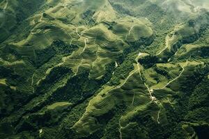 caffè piantagioni di Sud America con un' orizzonte con montagne nel il sfondo ,generativo ai foto