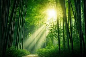 un' sereno bambù foresta con luce del sole filtraggio attraverso il le foglie Perfetto per il tuo tranquillo, calmo meditazione testi foto