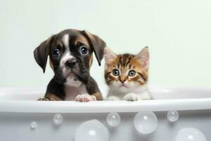 carino bambino gattino e pugile cucciolo assunzione un' bolla bagno, generativo ai foto