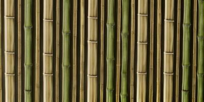 senza soluzione di continuità modello bambù fotorealistico per sfondo creato con ai generativo foto
