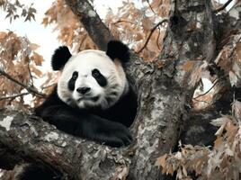 carino panda su naturale sfondo foto