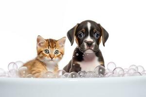 carino bambino gattino e pugile cucciolo assunzione un' bolla vasca da bagno, generativo ai foto