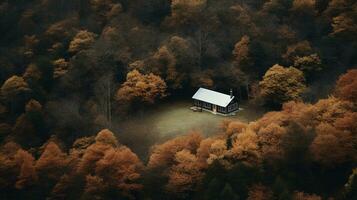 generativo ai, autunno estetico paesaggio panorama, smorzato neutro colori. foto