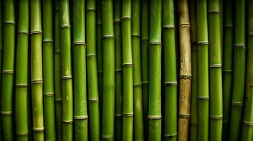 verde bambù struttura. orientale erba recinzione. ai generato. foto