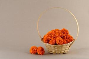 calendula, fiori di zendu fiori in un cesto di bambù. foto