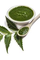 foglie medicinali di neem con pasta di neem in cucchiaio e piastra su sfondo bianco foto