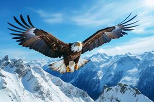 maestoso aquila Soaring sopra un' incontaminato, snow-capped montagna gamma sotto un' blu cielo ai generativo foto