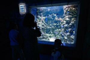 famiglia guardare a Pesci e tartaruga nel oceanario. madre con bambini godendo nel oceano mostra cisterna. foto