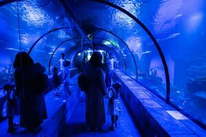 famiglia guardare a Pesci e squalo nel oceanario. madre con bambini godendo nel oceano mostra cisterna. foto