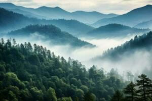 fumoso nuvoloso montagne alberi vacanza. creare ai foto