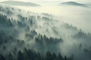 atmosferico composizione con un' di spessore strato di smokey nebbia. ai generato foto