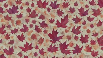 autunno acero le foglie sfondo. piatto posizione, superiore Visualizza, illustrazione, senza soluzione di continuità modello ai generato foto