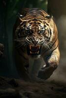 un' teso giungla incontrare fra un' ringhiando tigre e un' ringhioso leopardo sfondo con vuoto spazio per testo foto