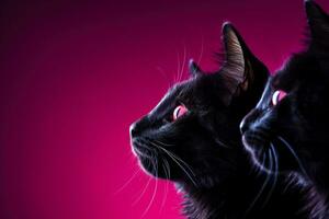 un' travolgente Immagine di nero gatto sagome contro un' in profondità viola fondale offerta ampio vuoto spazio per testo foto