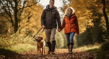 un' coppia e cane a piedi nel il foresta foto