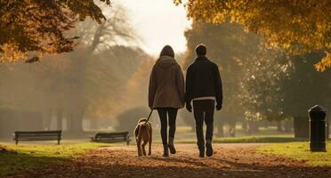 un' coppia e cane a piedi nel il foresta foto