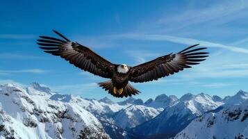 maestoso aquila Soaring sopra un' incontaminato, snow-capped montagna gamma sotto un' blu cielo ai generativo foto