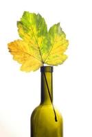 foglia d'acero gialla in una bottiglia di vino vuota foto