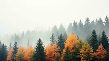 nebbioso foresta durante autunno con alto alberi e multicolore foglie, fornire ampio copia spazio ai generativo foto