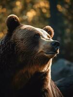 Là è un' Marrone orso quello è guardare su a il cielo. generativo ai. foto