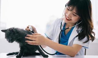 la veterinaria sta facendo esami fisici di routine per il gatto foto