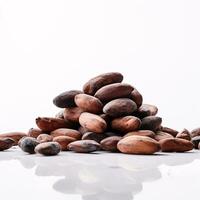 etereo avvicinamento di cacao fagioli contro croccante bianca sfondo con sinistra copyspace ai generativo foto