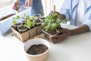 coinquilini che hanno un giardino sostenibile al chiuso foto