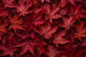 vino rosso autunno le foglie struttura, autunno natura sfondo, ai generativo foto