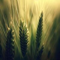 agricoltura pianta spuntone campo nel natura foto. ai generativo foto